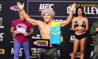 UFC: Асу Алмабаев против Хосе Очоа