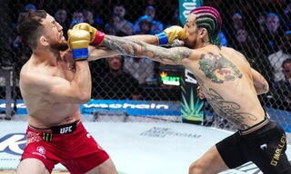 Изменения в правилах UFC 316: Отменены удары локтями сверху вниз