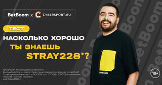 Тест на знание стримера stray228*