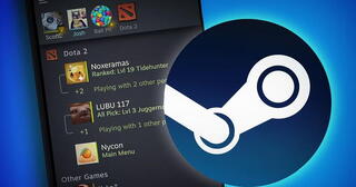 Новозеландец потратил месячный объём трафика на один стикер в чате Steam